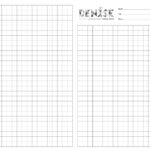 Denise - Examenpapier A3 - Ruit 10mm