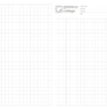 GSG – Gomarus College – Examenpapier A3 - ruit 10mm