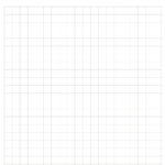 GSG – Gomarus College – Examenpapier A4 - ruit 10mm